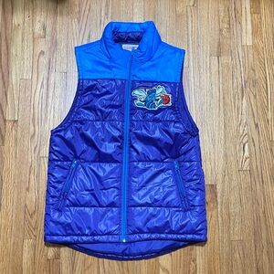 Charlotte Hornets NBA Puffer Vest